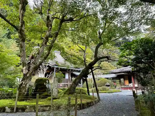 寂光院(京都府)
