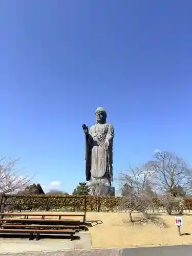 東本願寺本廟 牛久浄苑（牛久大仏）の{uncategorized: "未分類", other: "その他", undefined: "問題あり", building: "その他建物", grave: "お墓", sacred_gate: "鳥居", guardian: "狛犬", statue: "像", buddha: "仏像", history: "歴史", nature: "自然", garden: "庭園", animal: "動物", pagoda: "塔", temizu: "手水舎", mountain_gate: "山門・神門", sanctuary: "本殿・本堂", subordinate: "末社・摂社", art: "芸術", scenery: "景色", jizo: "地蔵", ema: "絵馬", goshuin: "御朱印", omikuji: "おみくじ", items: "授与品その他", amulet: "お守り", goshuincho: "御朱印帳", eats: "食事", festival: "お祭り", votive_dance: "神楽", shichigosan: "七五三参", wedding: "結婚式", experience: "体験その他", initially: "初詣", around: "周辺", anti_infection: "感染症対策"}