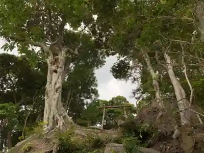 三宝荒神の自然