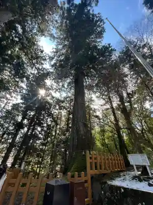 須山浅間神社のその他建物