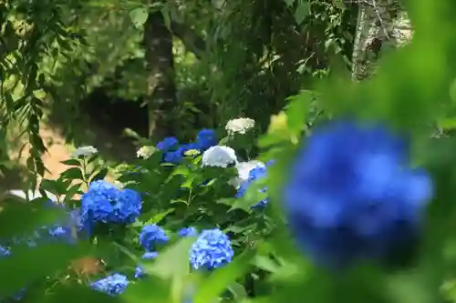 八幡神社の庭園