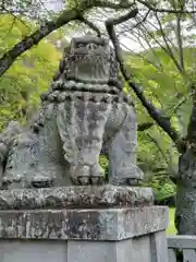 靜岡縣護國神社の狛犬