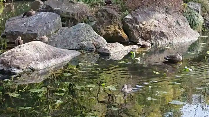 貫井神社の庭園