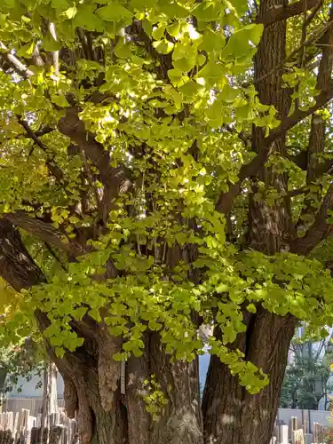 仙寿院(東京都)