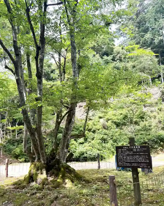 百済寺(滋賀県)