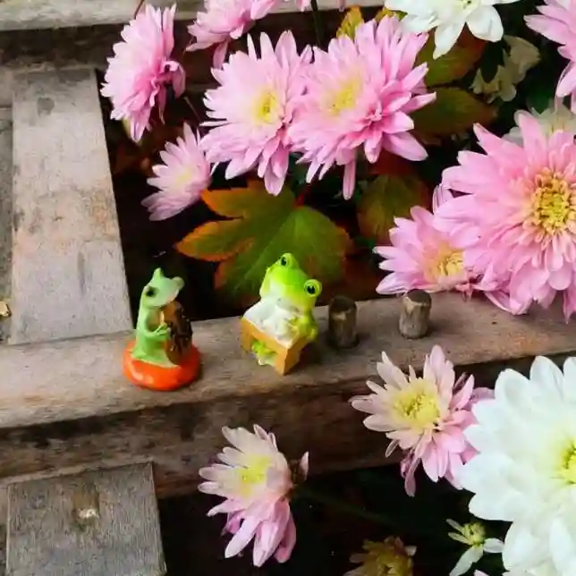 彌彦神社 (伊夜日子神社)の手水舎