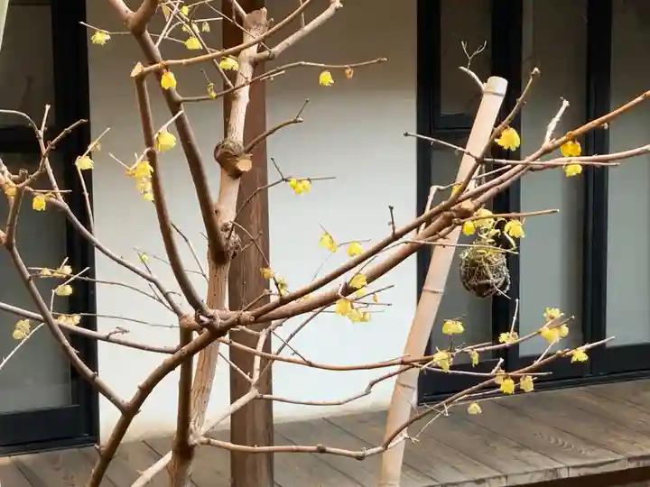 遠照山 光明寺(尼崎大仏)(兵庫県)