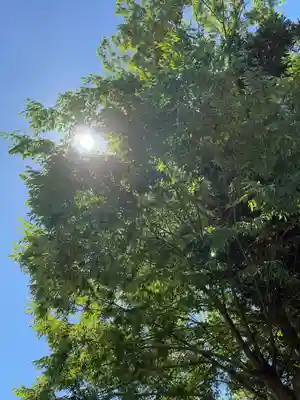 高龍神社(新潟県)