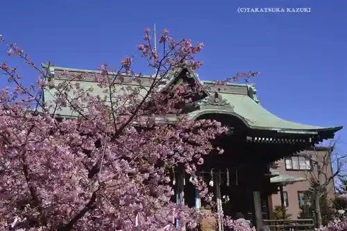 桜神宮(東京都)