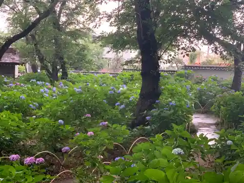 妙楽寺の庭園