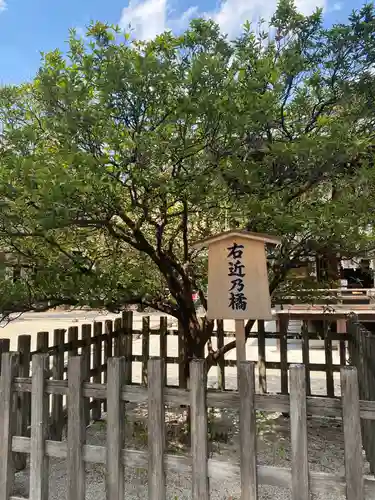 白峯神宮の庭園