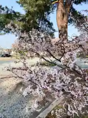 空知神社の自然