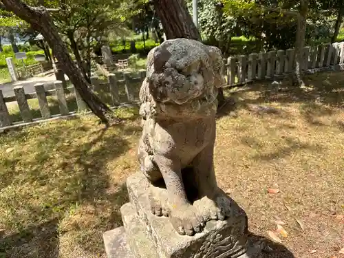 天橋立神社の狛犬