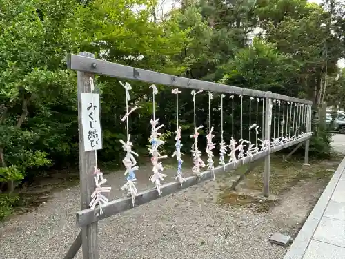 日枝神社のおみくじ