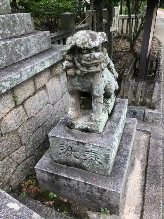 阿智神社の狛犬