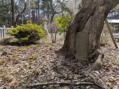 函館八幡宮(北海道)