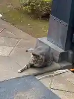 寛永寺(根本中堂)(東京都)