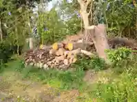 祠(名称不明)の周辺