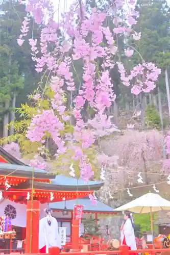金櫻神社(山梨県)