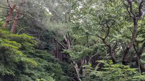 函館八幡宮の自然