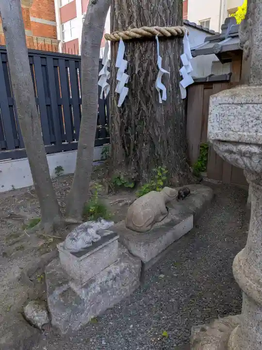 菅原院天満宮神社の{uncategorized: "未分類", other: "その他", undefined: "問題あり", building: "その他建物", grave: "お墓", sacred_gate: "鳥居", guardian: "狛犬", statue: "像", buddha: "仏像", history: "歴史", nature: "自然", garden: "庭園", animal: "動物", pagoda: "塔", temizu: "手水舎", mountain_gate: "山門・神門", sanctuary: "本殿・本堂", subordinate: "末社・摂社", art: "芸術", scenery: "景色", jizo: "地蔵", ema: "絵馬", goshuin: "御朱印", omikuji: "おみくじ", items: "授与品その他", amulet: "お守り", goshuincho: "御朱印帳", eats: "食事", festival: "お祭り", votive_dance: "神楽", shichigosan: "七五三参", wedding: "結婚式", experience: "体験その他", initially: "初詣", around: "周辺", anti_infection: "感染症対策"}