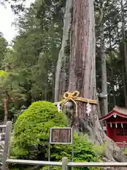 北口本宮冨士浅間神社(山梨県)