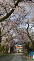 平野神社の建物その他