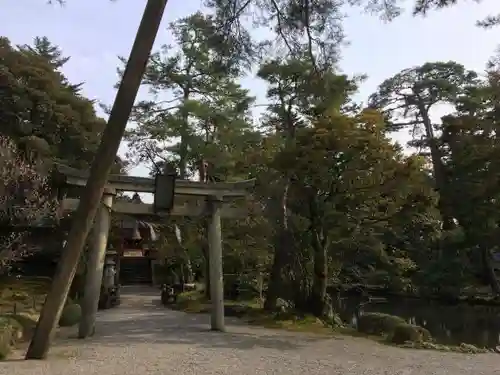 金澤神社の鳥居