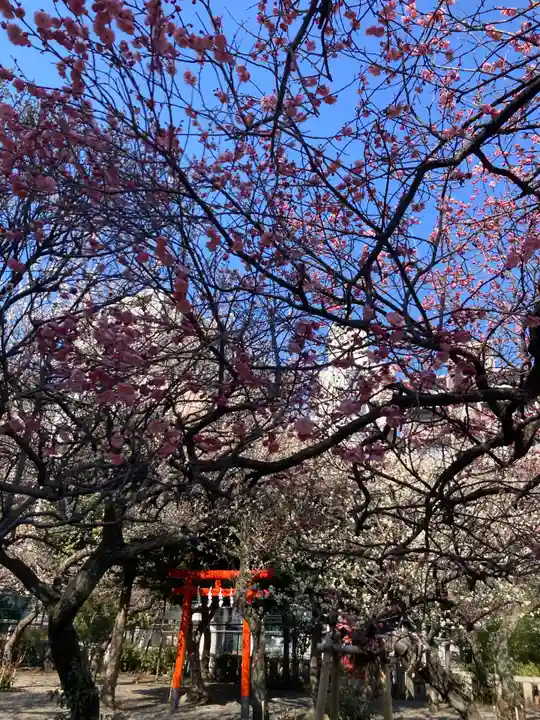 町田天満宮(東京都)