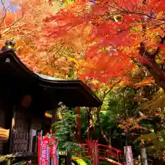 普門寺(切り絵御朱印発祥の寺)(愛知県)