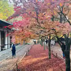 鉾立山天王院(福岡県)