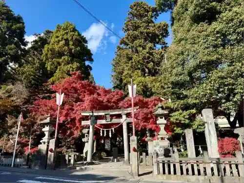 渋川八幡宮(群馬県)