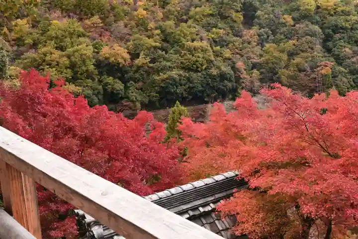 大悲閣千光寺(京都府)