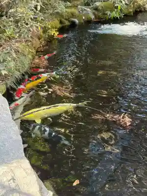 伊勢神宮内宮（皇大神宮）(三重県)