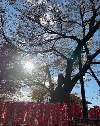 秩父今宮神社(埼玉県)