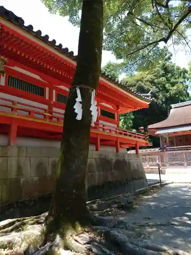 石清水八幡宮の自然