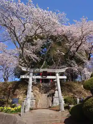 瀧桜神明宮(福島県)