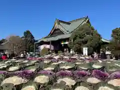 成田山新勝寺(千葉県)