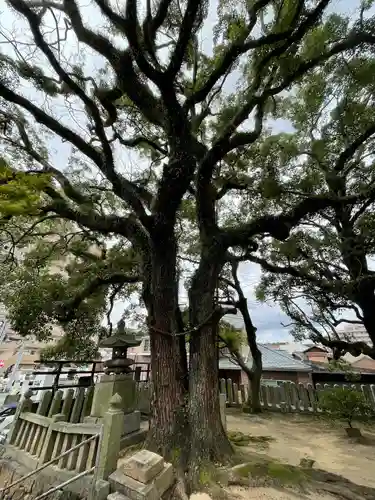 嚴島神社の自然