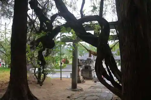 春日神社の景色