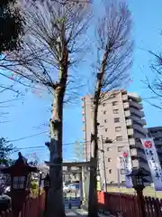 川越八幡宮(埼玉県)