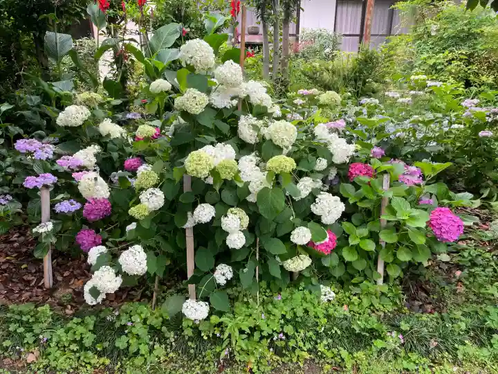 酒見神社(愛知県)