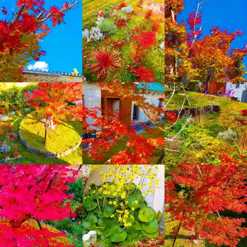 寿量山　速成寺の自然