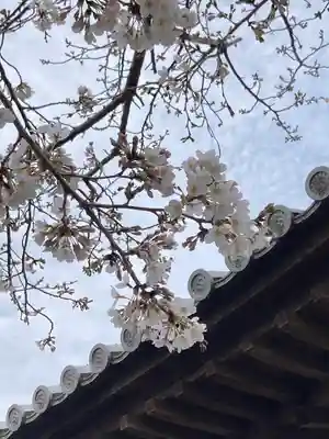 高家寺の本殿・本堂