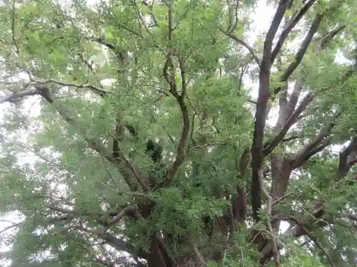 時宗総本山 遊行寺（正式：清浄光寺）(神奈川県)