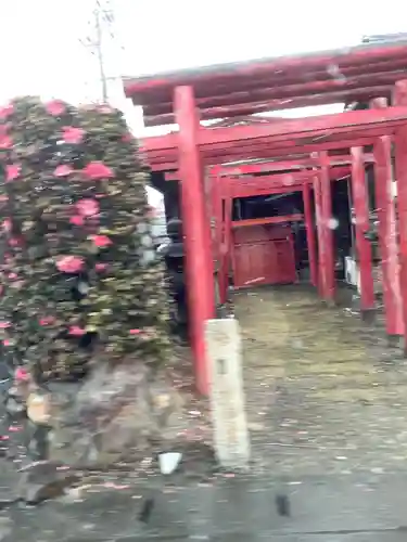 稲荷神社（神道照王教会）の鳥居