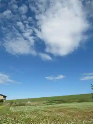 子の権現神社(埼玉県)