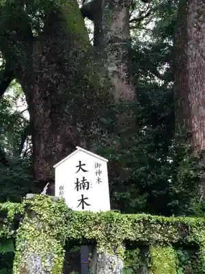 八幡朝見神社(大分県)