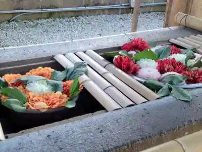 上野東照宮の手水舎