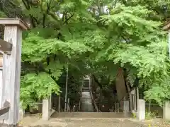 下総国三山　二宮神社の自然